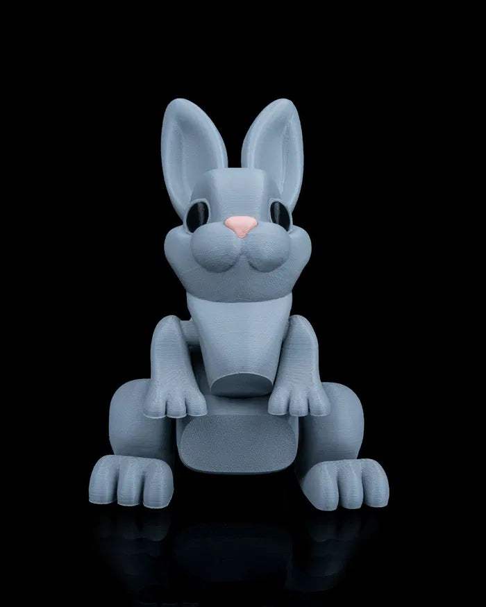 Jumpy_Bunny1_5510a06934