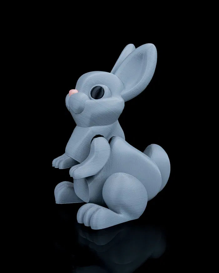 Jumpy_Bunny2_f0c67f3f82