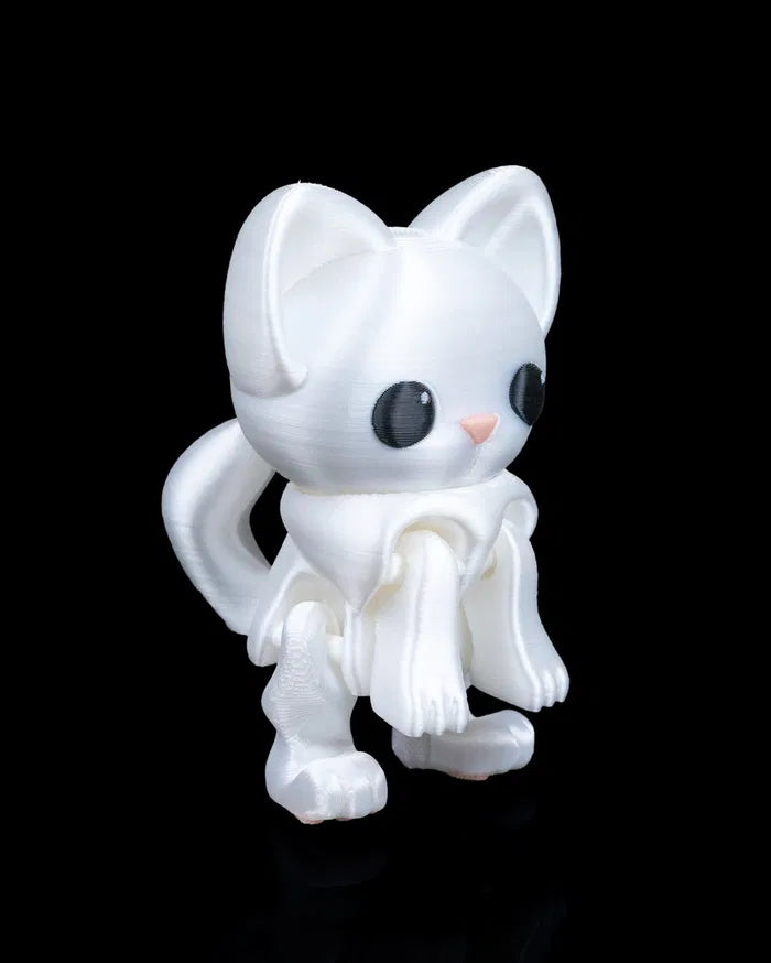 Curious_Cat_3_b0480a9ab7