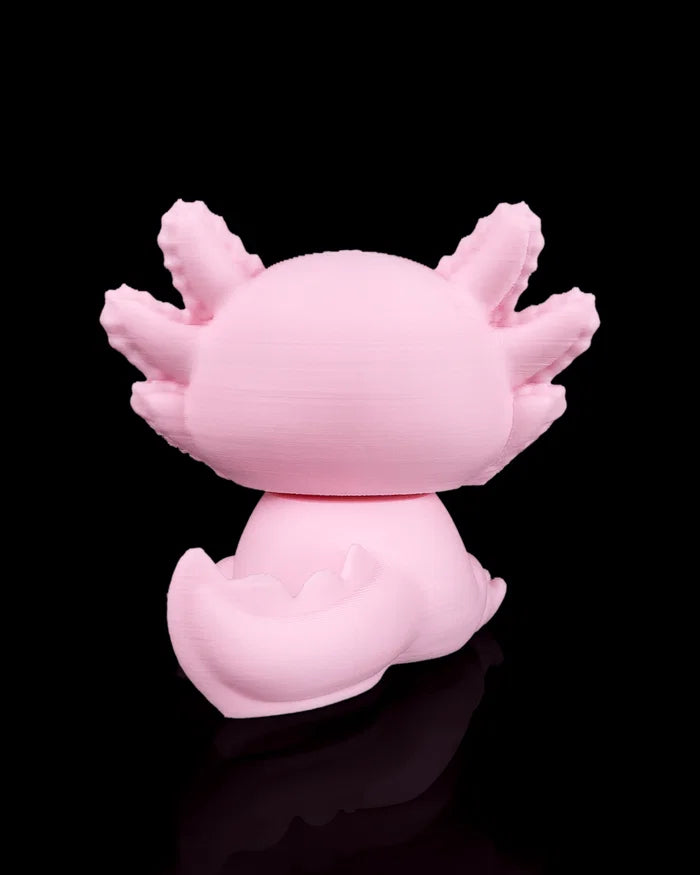 Grumpy Axolotl