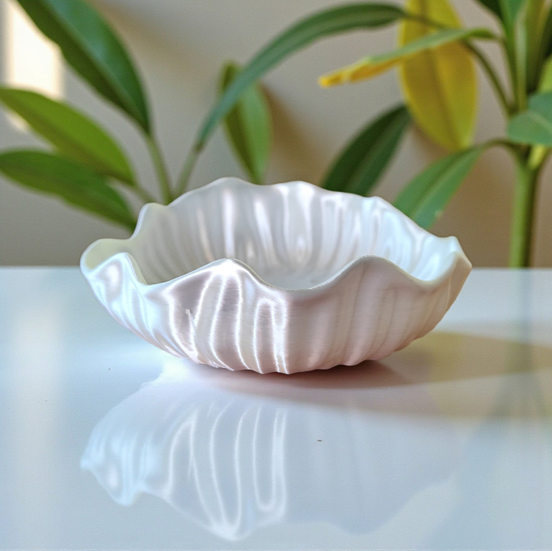 Glossy Seashell Bowl Version Two