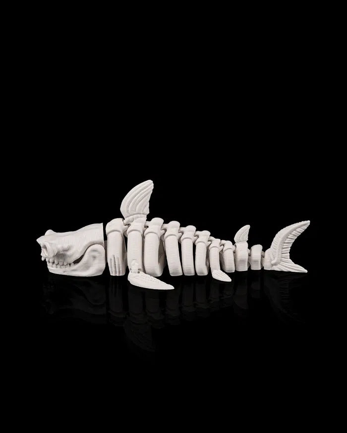 Skeleton Shark