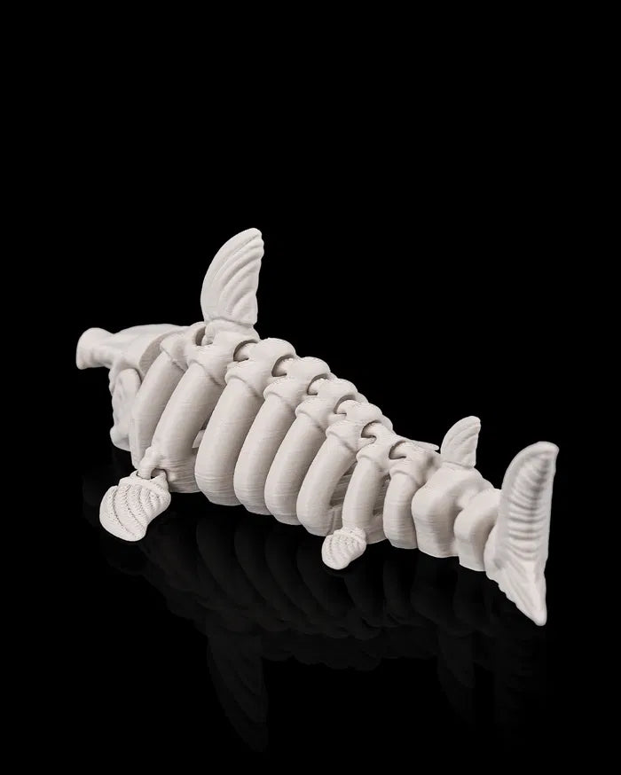 Skeleton Shark