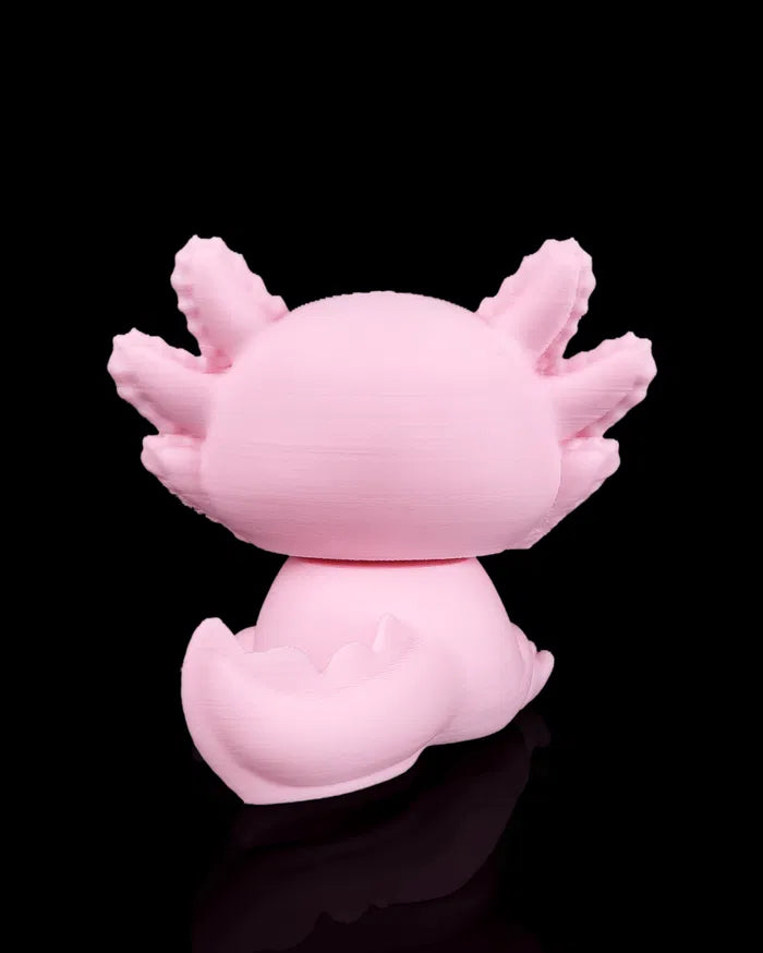Sleepy Axolotl