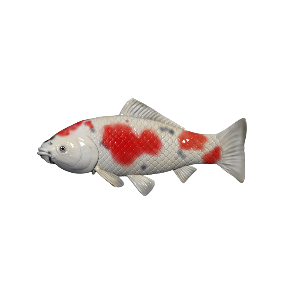 Koi Fish