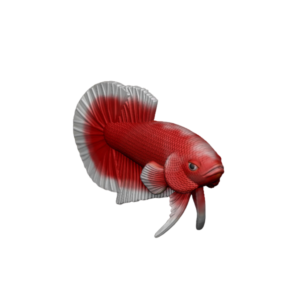 Betta Fish v3.0