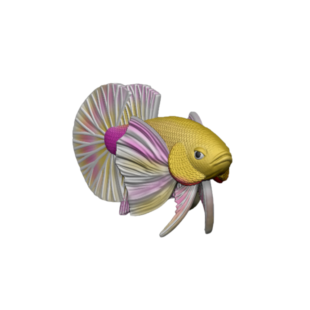 Betta Fish Dumble