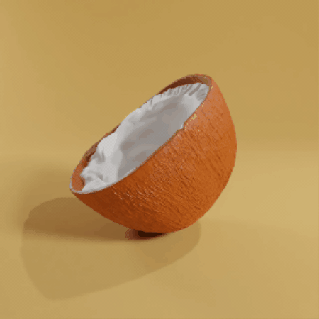 Brown Coconut Half-Open High Detail