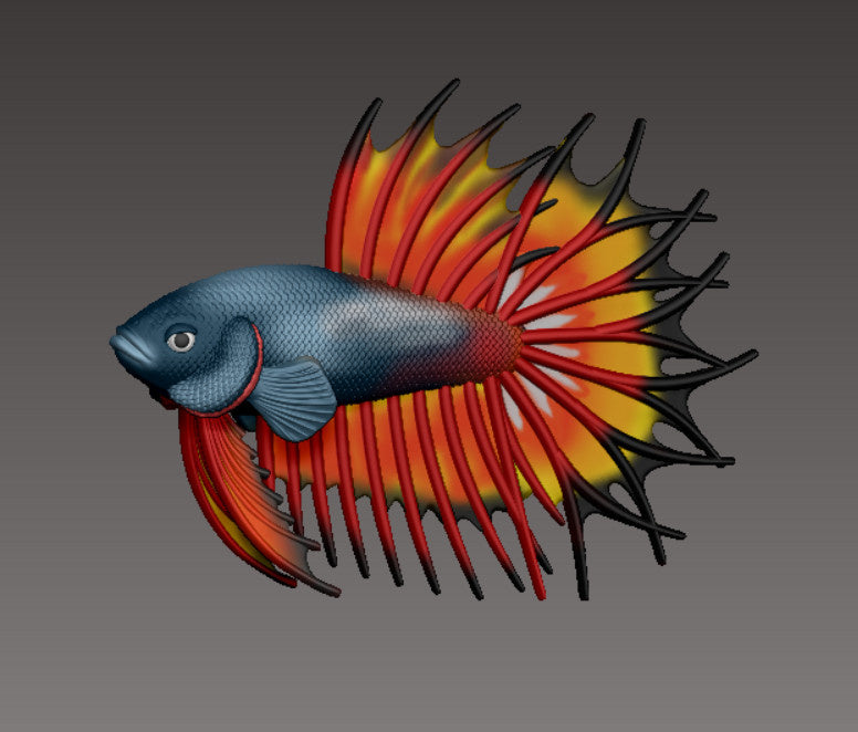 Betta Fish Crowntail