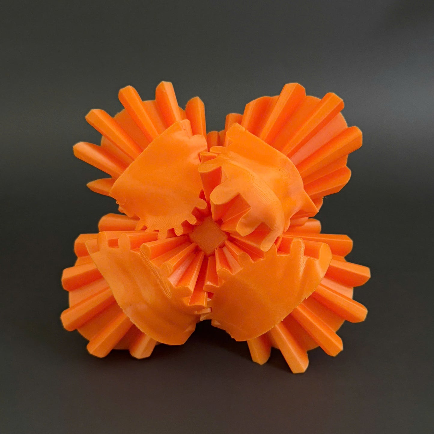 The Rock Gear Fidget Toy