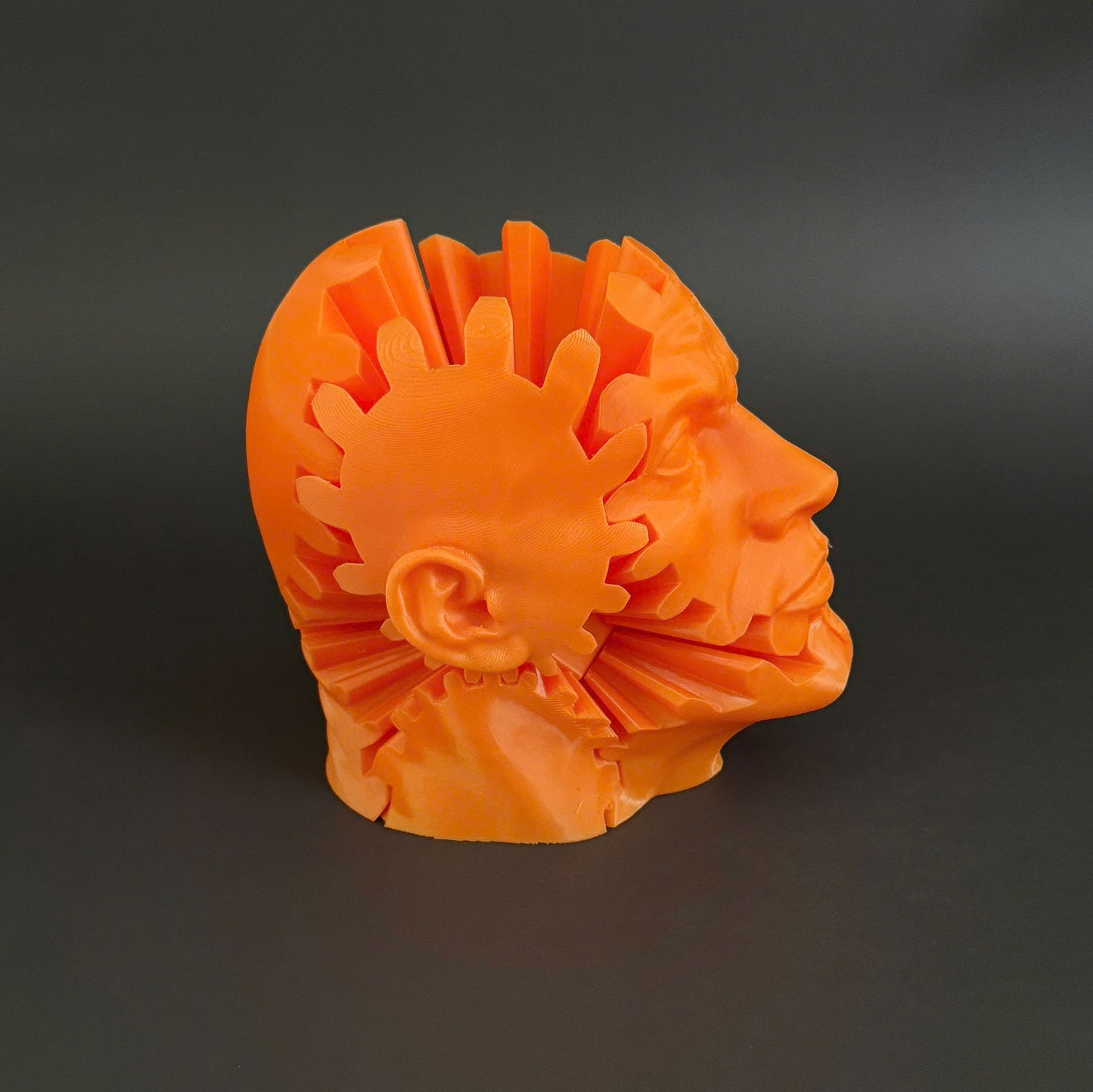 The Rock Gear Fidget Toy