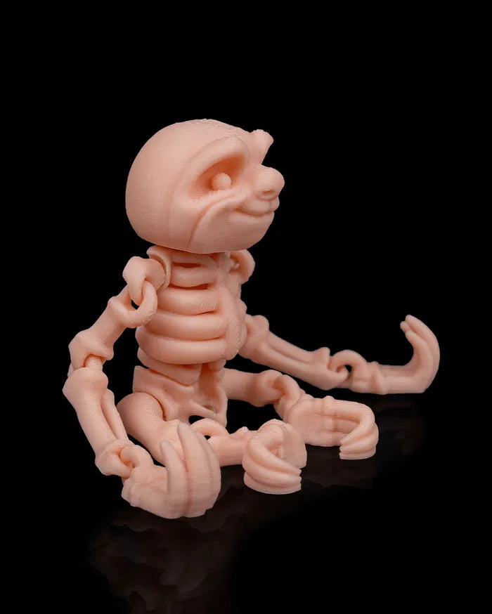 Skeleton_Sloth2_b91cb51986