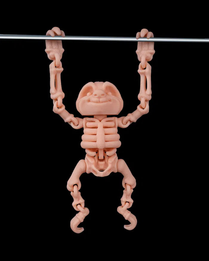 Skeleton_Sloth5_65dc0143a0