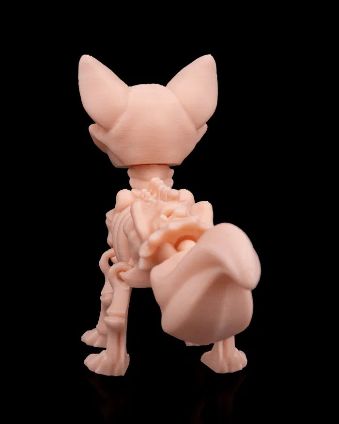 Skeleton_Fox_5_5618890927