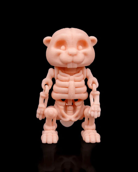 Skeleton_Beaver1_f82e4dea62