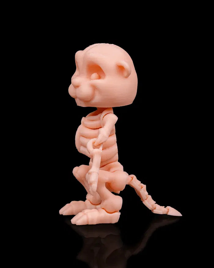 Skeleton_Beaver5_da995f1638