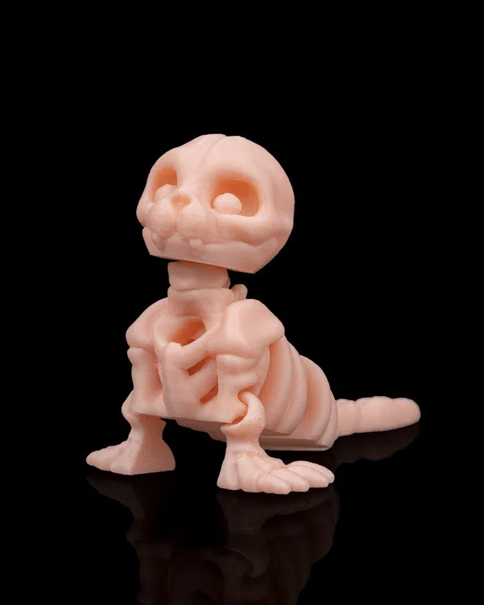 Skeleton_Seal_1_584412707c