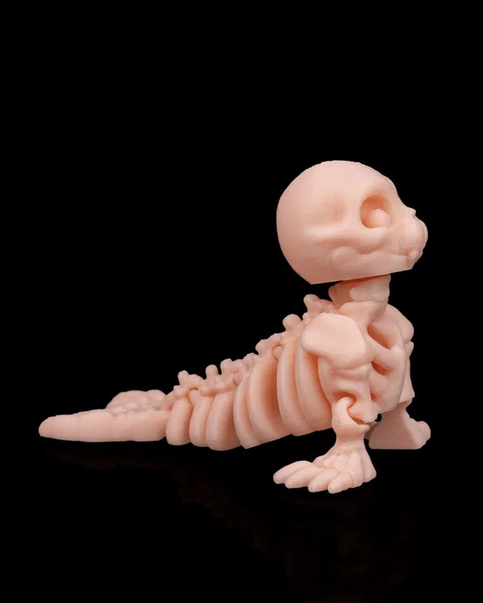 Skeleton_Seal_2_185b975c2e