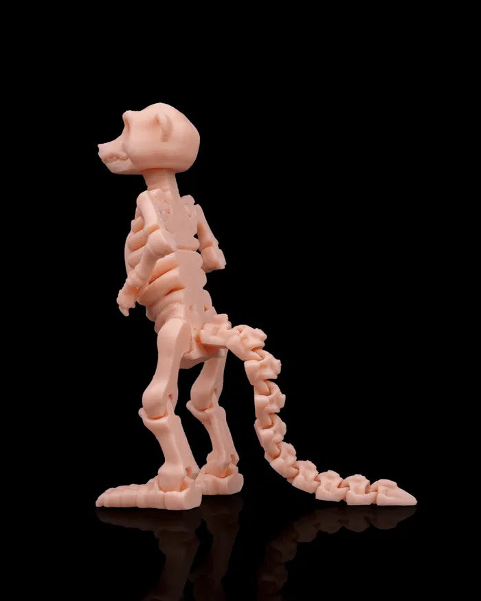 Skeleton_Meerkat_4_6ab3cca11c