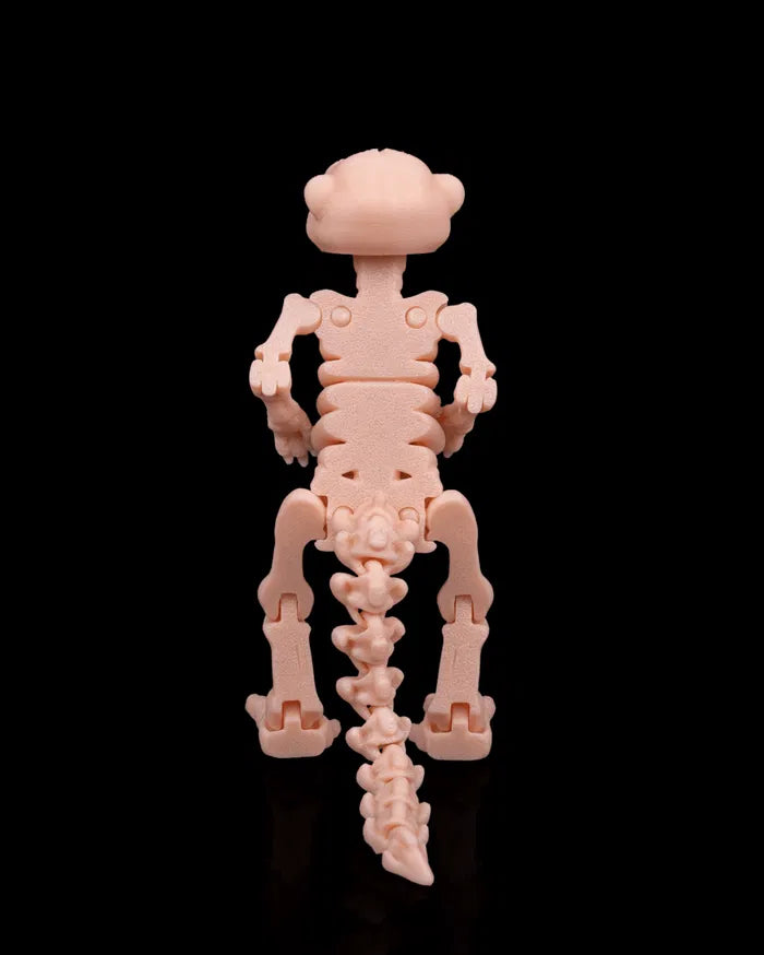 Skeleton_Meerkat_5_79da4f5092