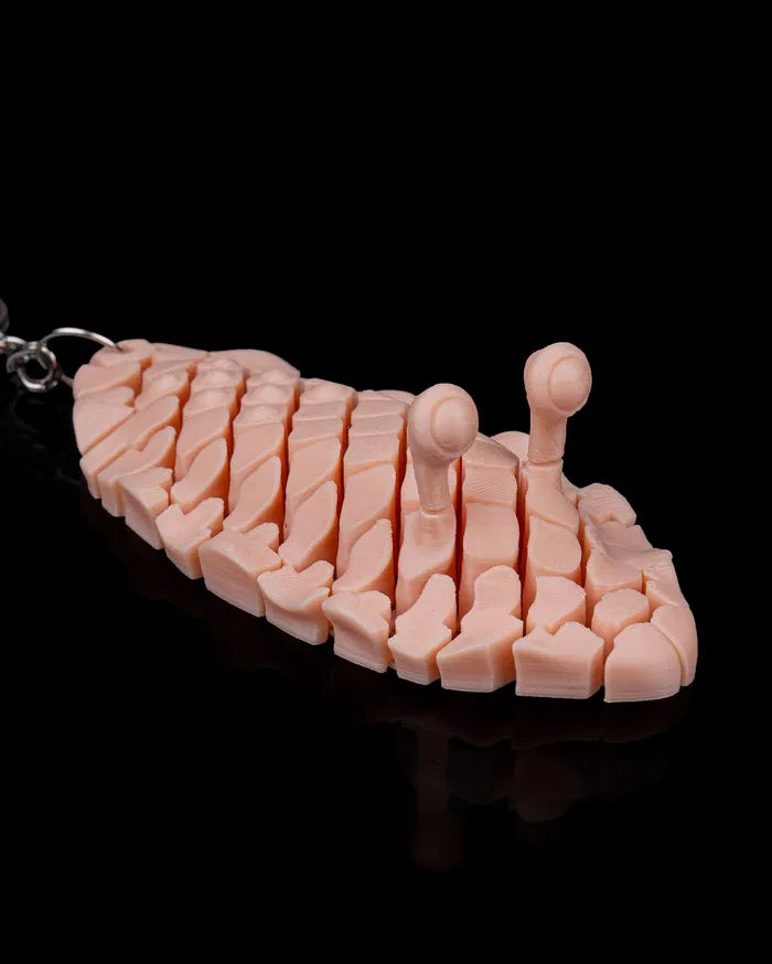 Doug_the_Sea_Slug5_d7fe2a1fb2