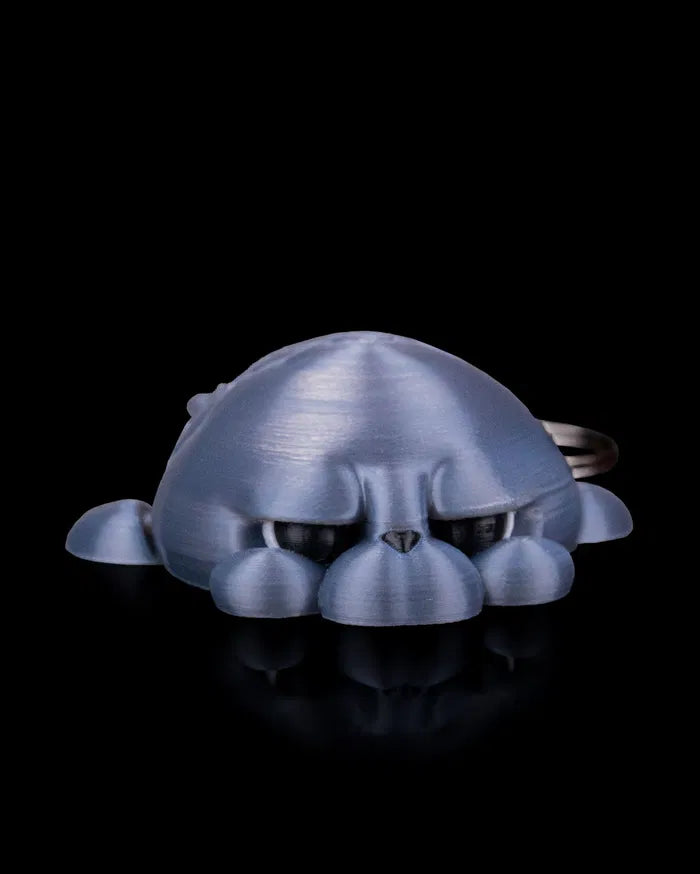 Phil_the_Seal1_5ff2b65b8f