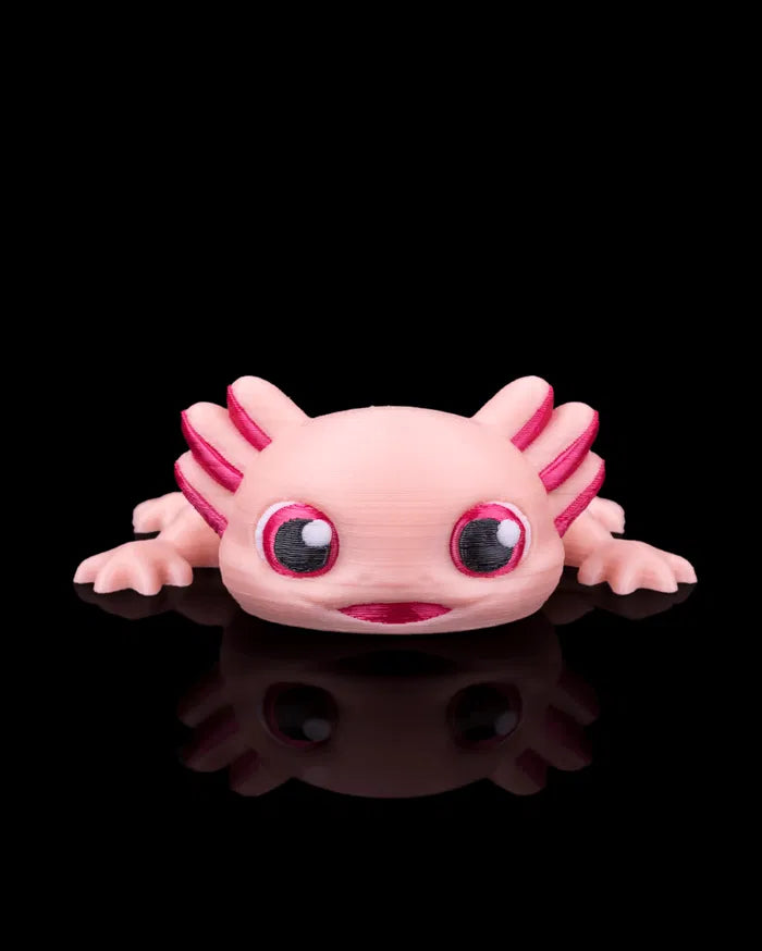 Ashley_the_Axolotl_2_0f6c495ebf