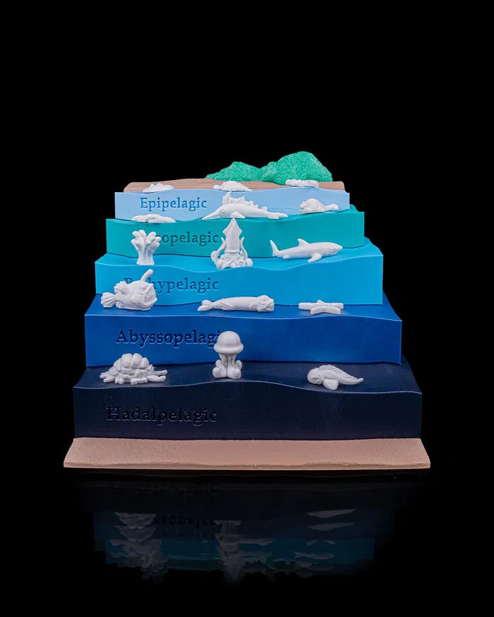 Sea_Through1_d74f8c5a84