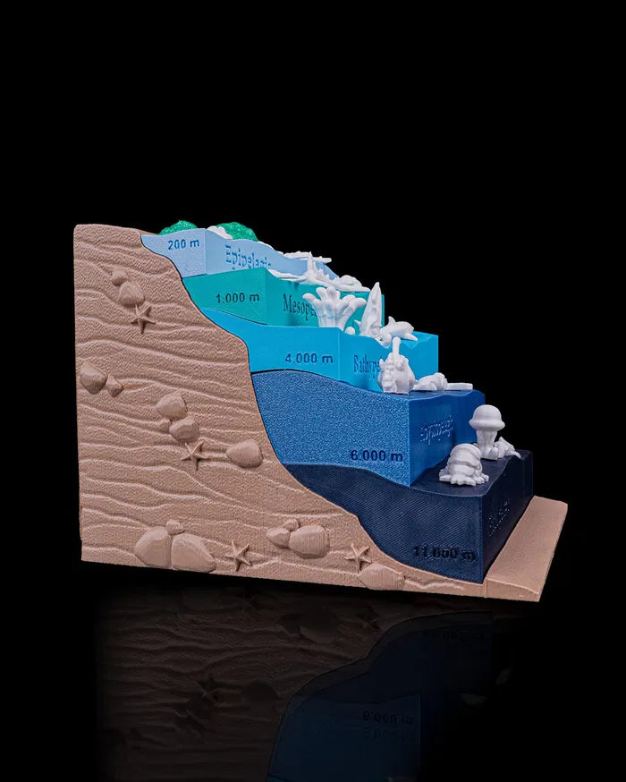 Sea_Through2_6e0662e91d