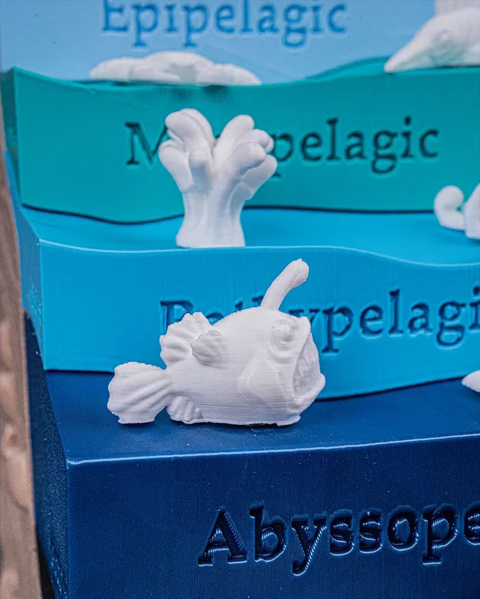 Sea_Through8_d76488e3dd