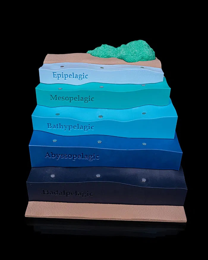 Sea_Through9_d8acd2084e