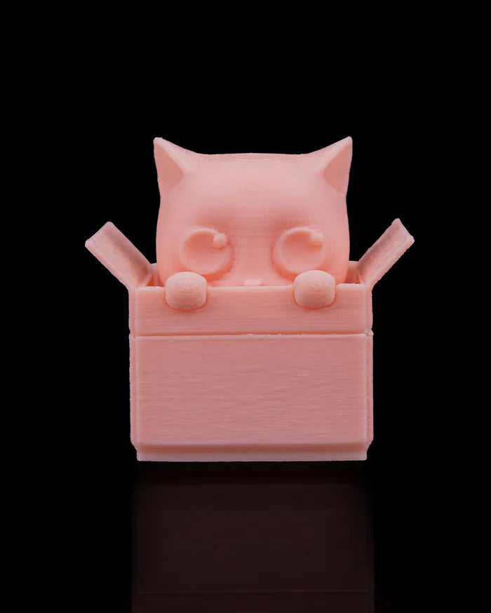 Pet_the_Cat_Fidget_and_Keychain6_7598455754