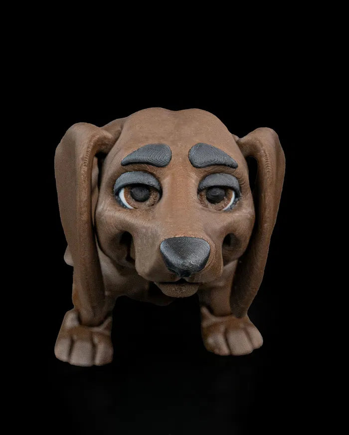 Winston_the_Dachshund1_d7c88f442a