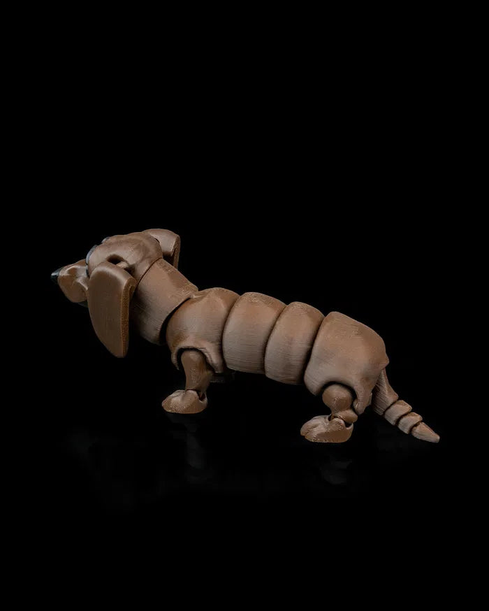 Winston_the_Dachshund3_f5666dca4e