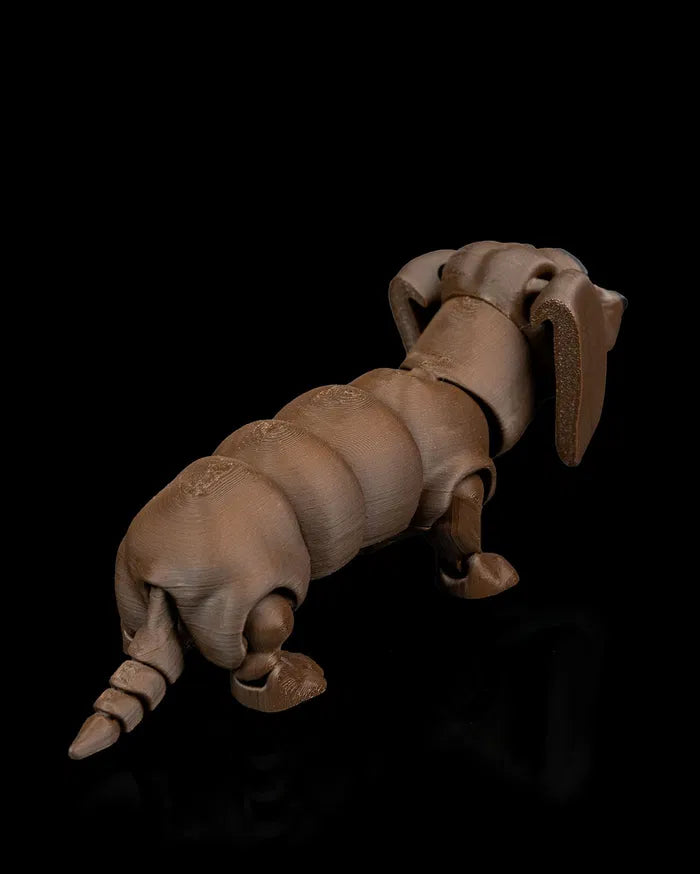 Winston_the_Dachshund5_7877bdb0bc