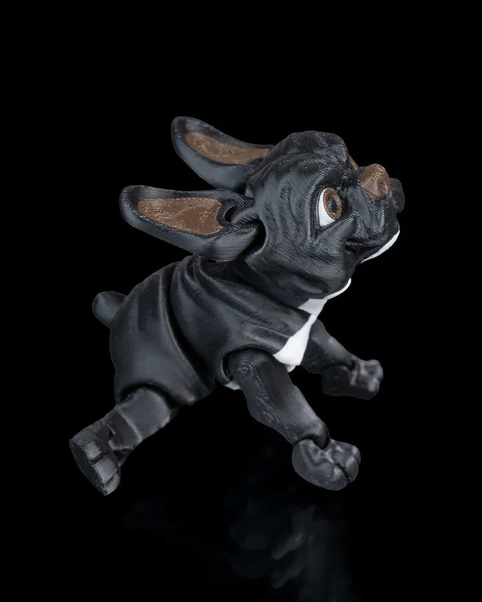 Stella_the_French_Bulldog6_347ffbee6e