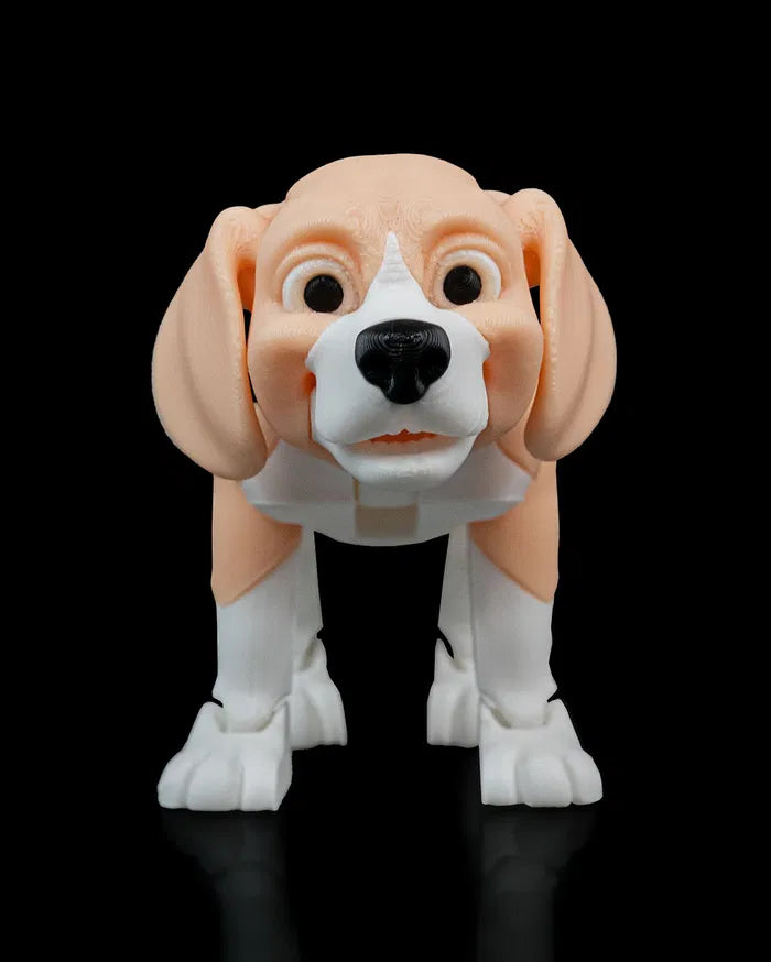 Barry_the_Beagle1_e0042ef99a