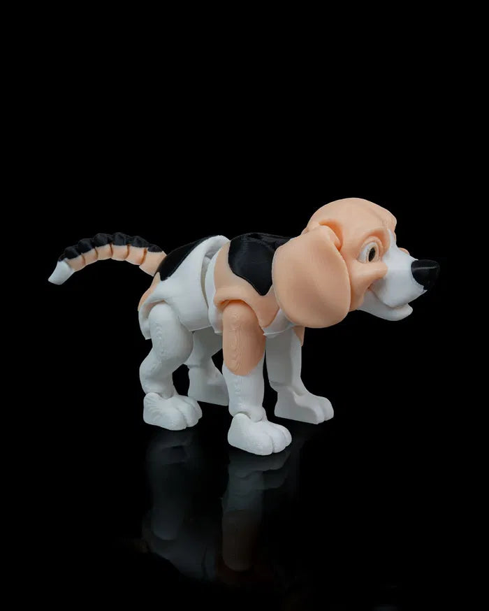 Barry_the_Beagle5_6836481499