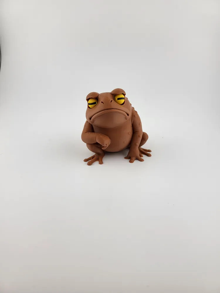 Not My Day Frog – Cute toy Kawaii Figurine