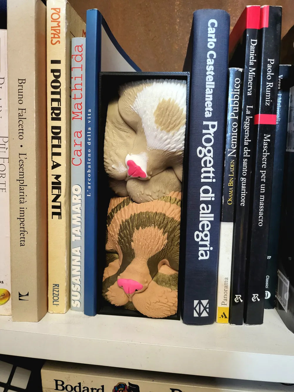 Sleeping Cat Friends NO AMS – Book Nook Shelf