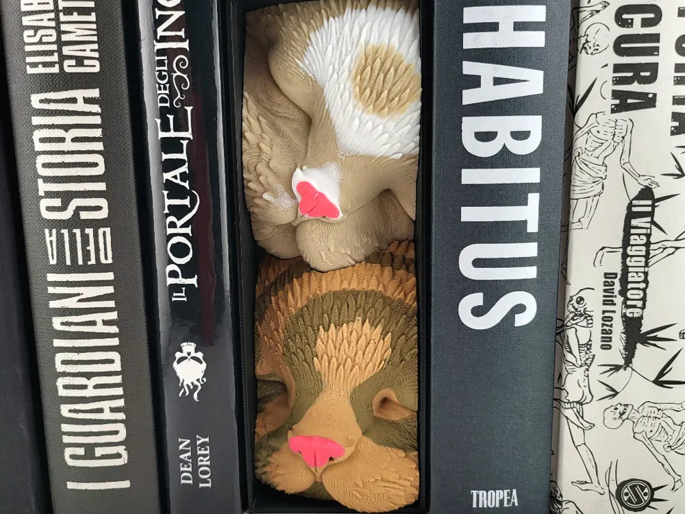 Sleeping Cat Friends NO AMS – Book Nook Shelf