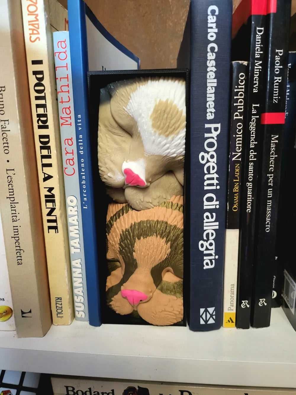 Sleeping Cat Friends NO AMS – Book Nook Shelf