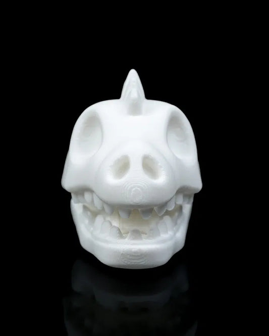 Dino_Skull_Bag_Clip_1_b0a5e71401