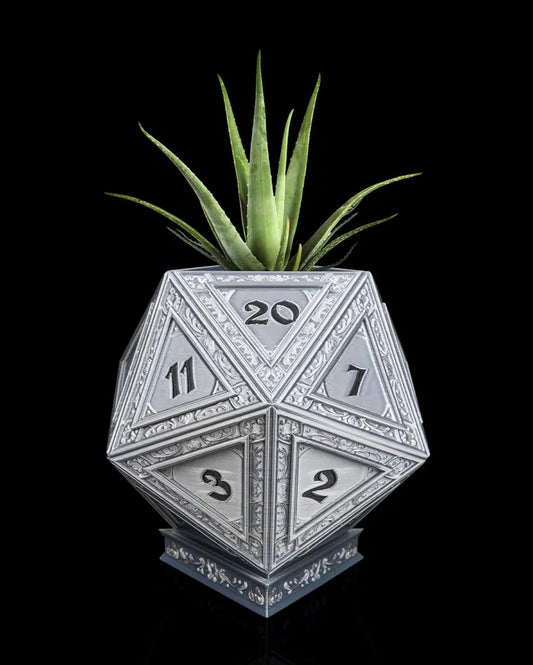 Champion_s_D20_1_34b856f82d