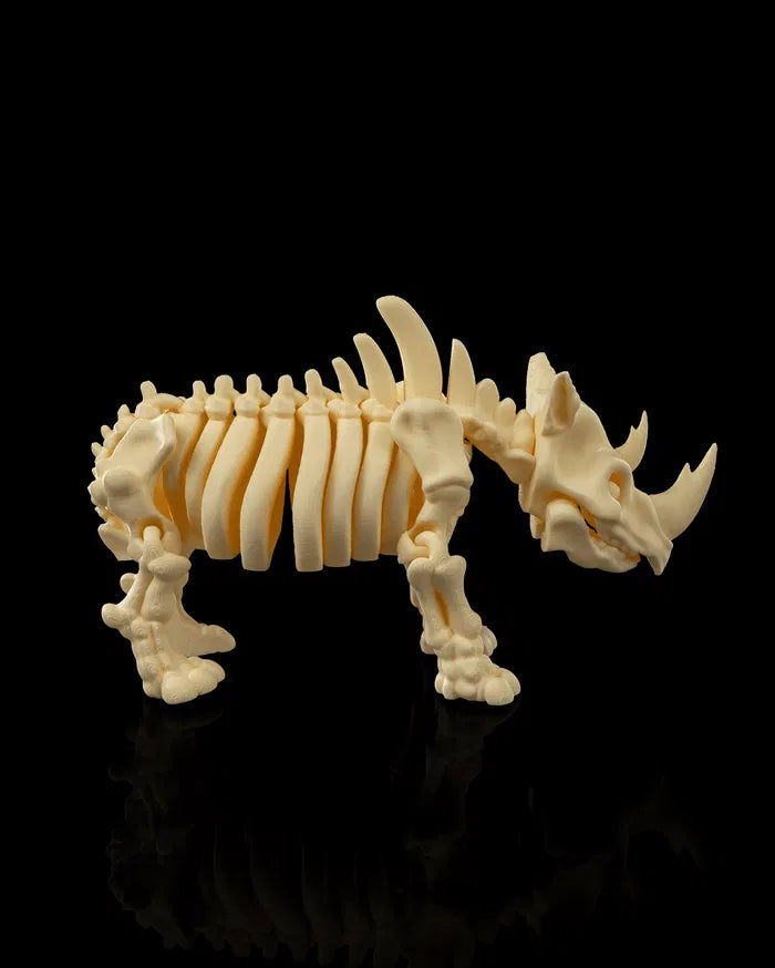 Skeleton_Rhino_3_a0c0c69184