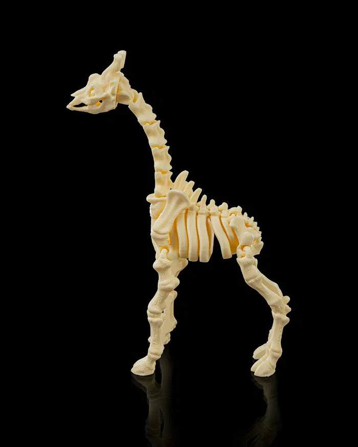 Skeleton_Giraffe4_fb1439db89