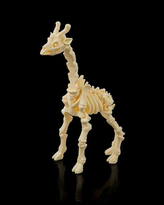 Skeleton_Giraffe5_0457d18584