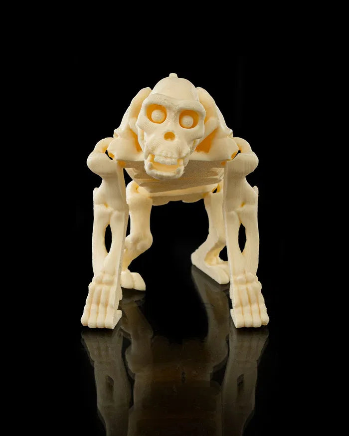 Skeleton_Chimp1_4a8ca7c583