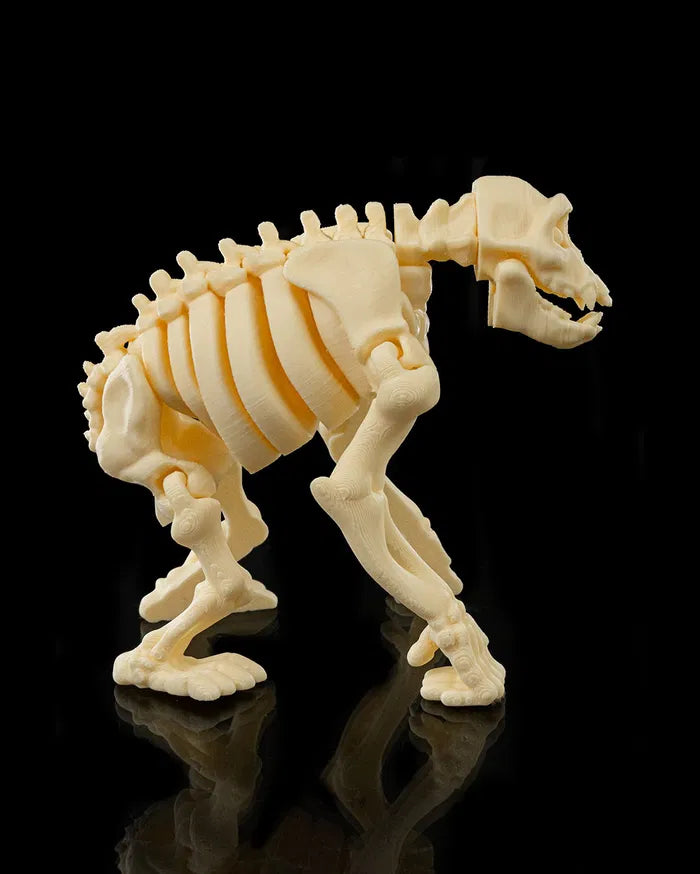 Skeleton_Chimp4_43f39dc8eb