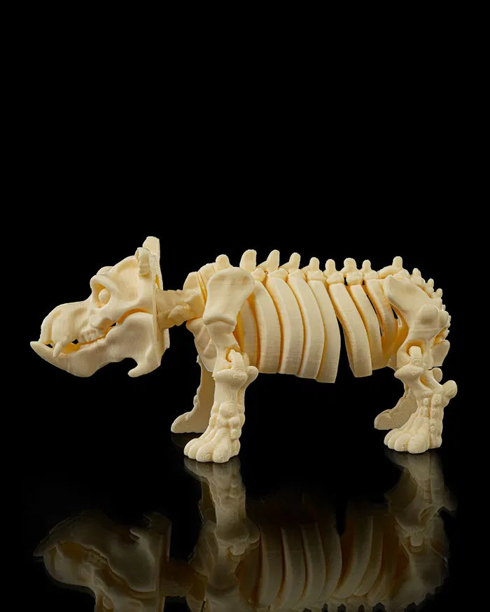 Skeleton_Hippo4_34bbbb5570